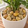 Khaki Decorative River Rocks