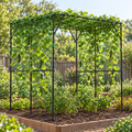 Climbing-Plant Support Frame