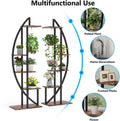 Curved Plant Display Stand