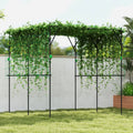 Climbing-Plant Support Frame